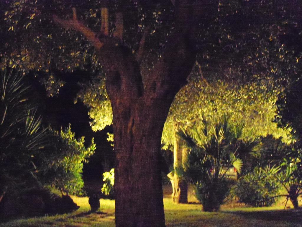 Gli Ulivi Apartment Alghero Ruang foto