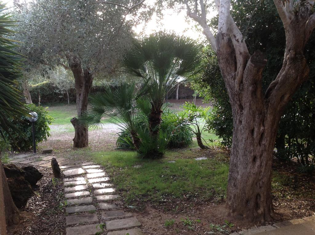 Gli Ulivi Apartment Alghero Bagian luar foto