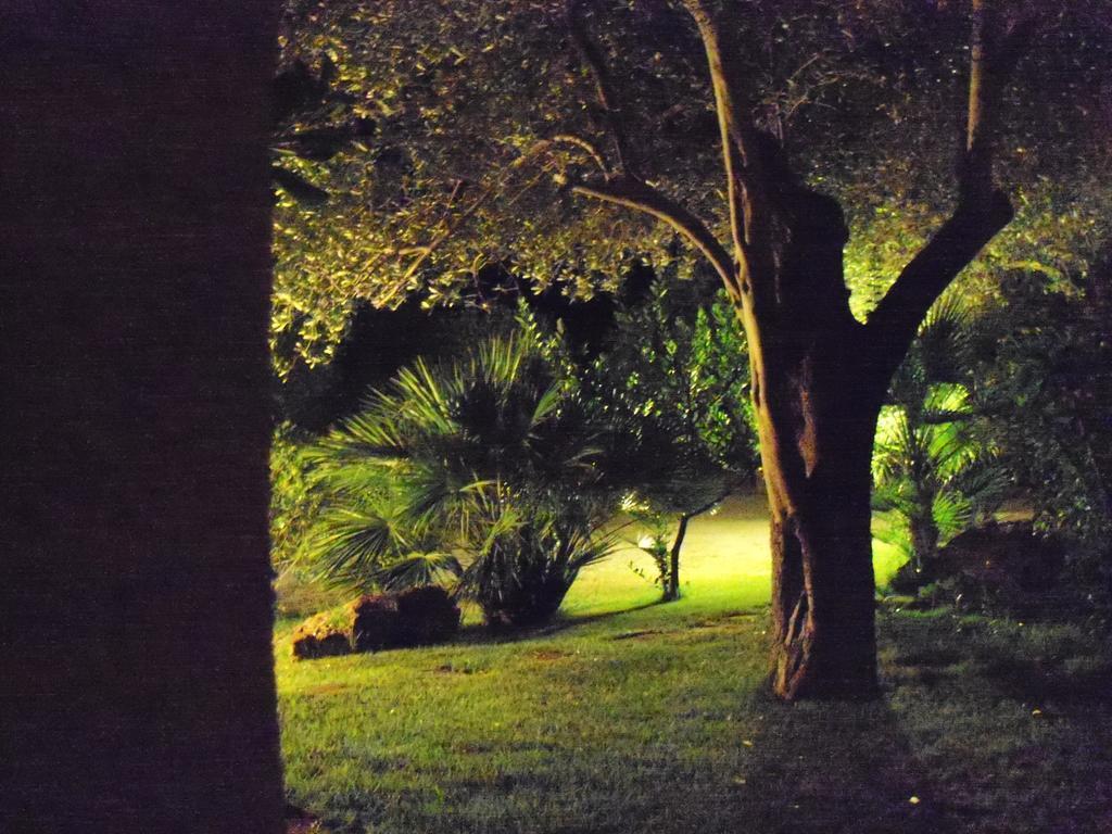 Gli Ulivi Apartment Alghero Bagian luar foto
